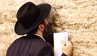חרדי מתפלל בכותל המערבי (צילום: עודד קרני ,mako)