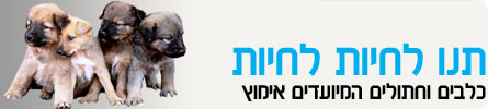 ערוץ החיות-תנו לחיות לחיות header_tnulachyot