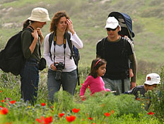 פריחת כלניות בגוברין (צילום: ניב לוי)(יחסי ציבור)
