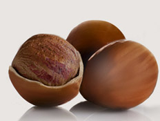 חמאת שיאה אורגנית