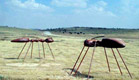טיולים בדרום: גן הפסלים ליד באר שבע (צילום: איל שפירא ,mako)
