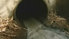 ביוב מזהם בבסיסי צה"ל (צילום: חדשות 2)
