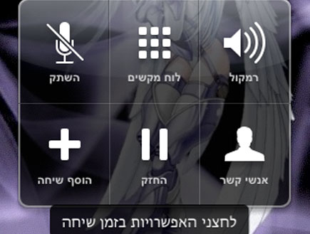 Call options-3 (צילום: צילום מסך ,mako)