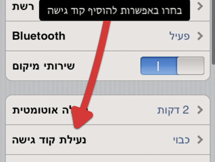 add access code-11 (צילום: צילום מסך ,mako)