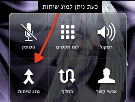 join Calls-3 (צילום: צילום מסך ,mako)