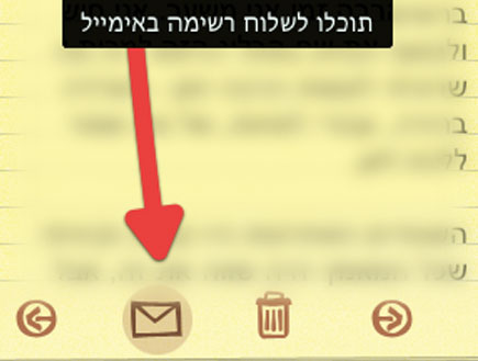 send-14 (צילום: צילום מסך ,mako)