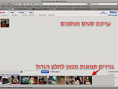 flickr - organize (צילום: צילום מסך)