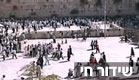 66591 (צילום: חדשות 2)