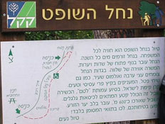טיולי משפחות: נחל השופט