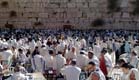 הכותל המערבי. "לא ללכת בשבת" (צילום: יוסי זילברמן, חדשות 2)