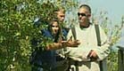 שגיא בשן בתקופת התנ"ך (צילום: חדשות 2)