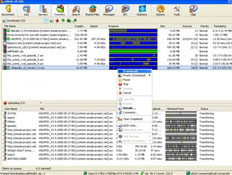 emule-panel.png