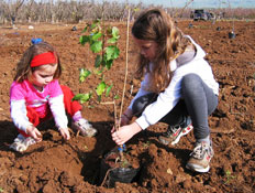 טו בשבט בגליל (צילום: יחסי ציבור)