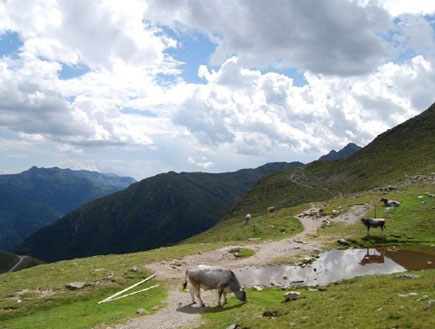 צפון איטליה