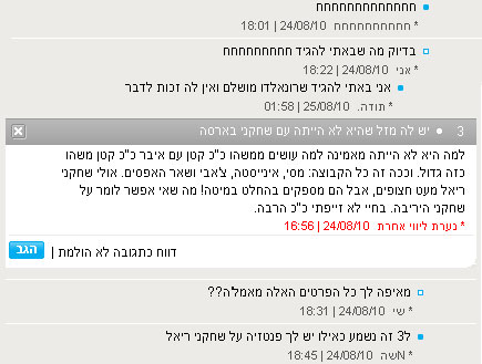 הטוקבק האינפורמטיבי (צילום: צילום מסך)