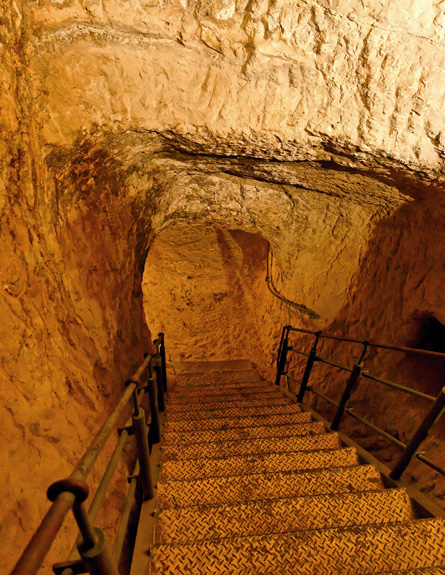 נקבת הגיחון (צילום: יחסי ציבור)