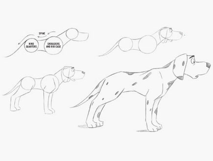 pic3_dog