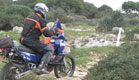 אופנוע נוסע בשטח (צילום: KTM)