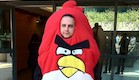 לשימוש בפורים 2011 Angry Birds