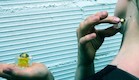 בושם מפיפי. צילום מסך מתוך: aol.com (צילום: צילום מסך)