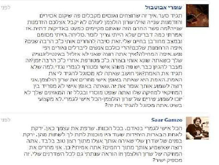 הולצמן פייסבוק (צילום: צילום מסך)