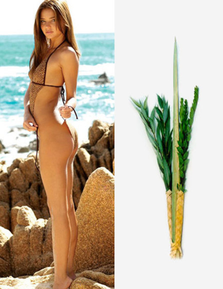 לולב - מירנדה קר (צילום: צילום מסך)