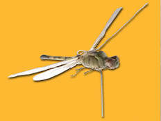 Insectothopter by the CIA(צילום מסך)