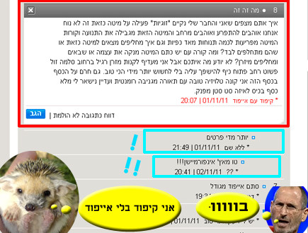 טוקבק הזהב (צילום: צילום מסך ,mako)