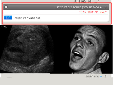 טוקבק הזהב (צילום: צילום מסך ,mako)