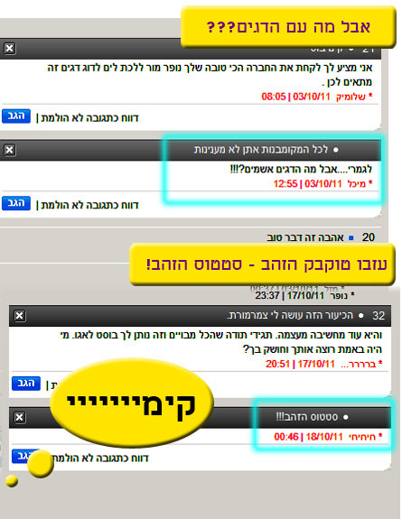טוקבק הזהב (צילום: צילום מסך ,mako)