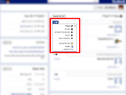 שמירה על פרטיות (צילום: צילום מסך ,facebook)