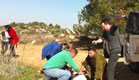 היום האחרון - סרט על תקיפת אירן בישראל (צילום: חדשות 2)