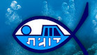 דוגית