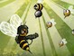 bee sting