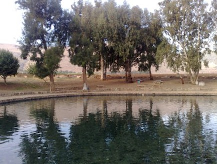 אירועי טו בשבט (צילום: יחסי ציבור)