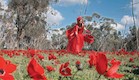 דרום אדום 2012 - אדומים (צילום: אורלי גנוסר ,גלובס)