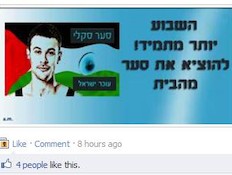סער סקלי - נאצות בפייסבוק