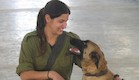 עוקץ (צילום: דובר צה"ל)