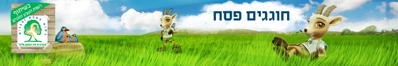 makoפסח makoפסח