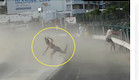 בחורה התרסקה בקיר בגלל מנוע של מטוס (צילום: יוטיוב )