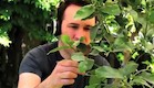 מוזיקת טבע (צילום: מתוך youtube)