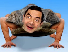 היום לפני צבים (צילום: freakingnews.com)