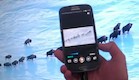 סמסונג גלקסי S3 (צילום: יוטיוב  ,TGspot)