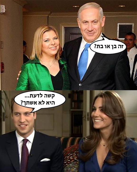 דור מוסקל