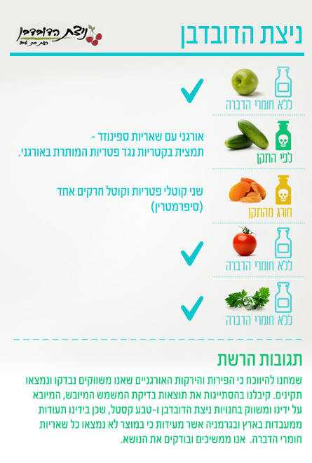 ניצת הדובדבן