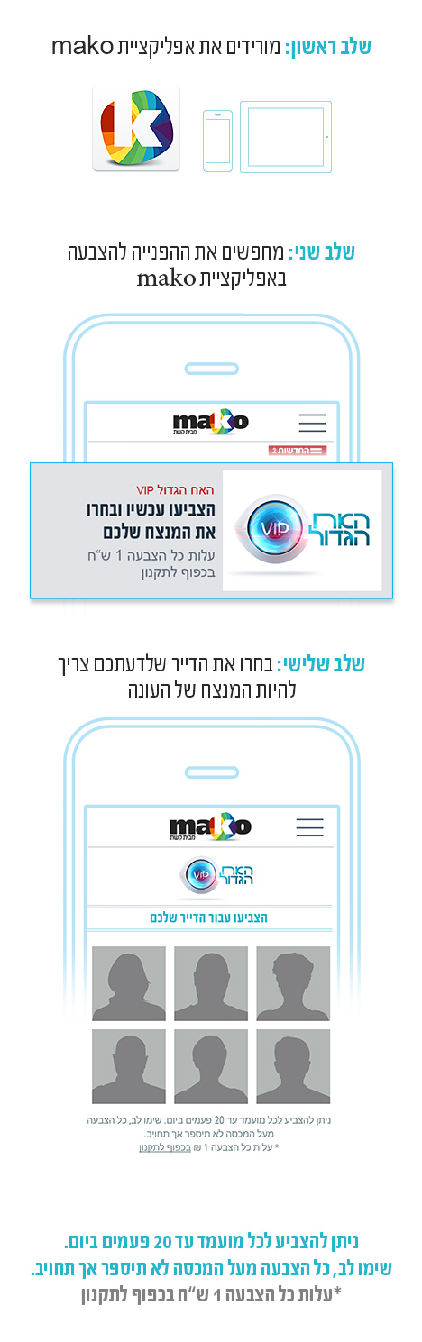 הצבעת גמר