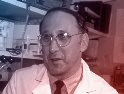steven-rosenberg (צילום: Gettyimages IL)