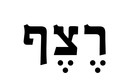 שותפים האח, רצף
