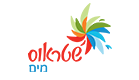 שותפים האח, שטראוס