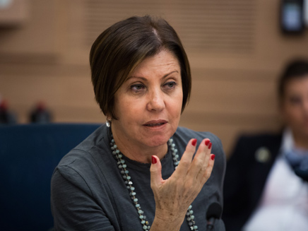 גלאון, ארכיון (צילום: יהונתן סינדל - פלאש 90)